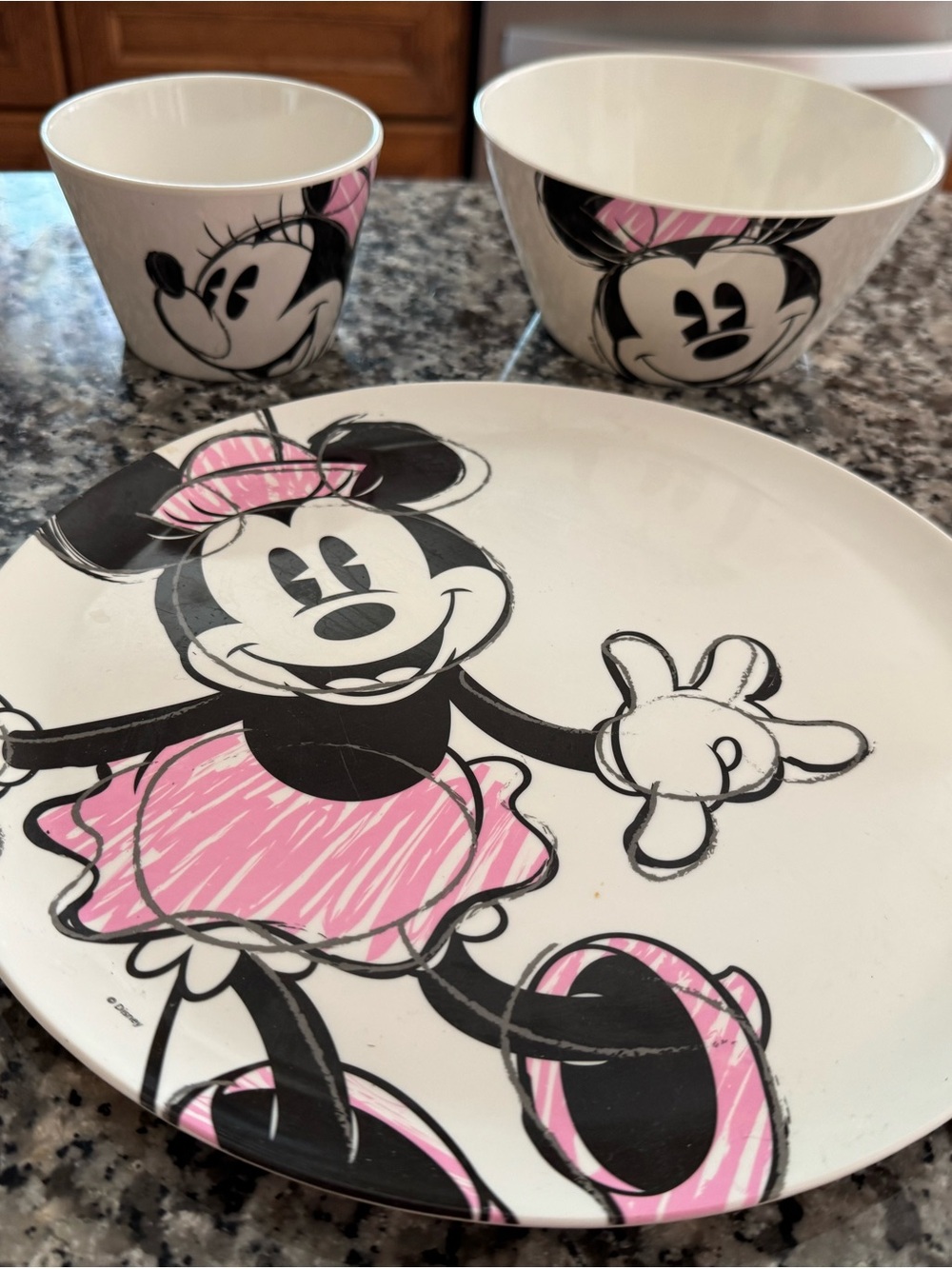 Disney Minnie Mouse Pink Accent plastic Plate and Bowls Set